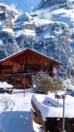 فيديوهات أنشأها stop1 (@stop12650) باستخدام الصوت الأصلي - 🌿 د. وسيم يوسف 🌿