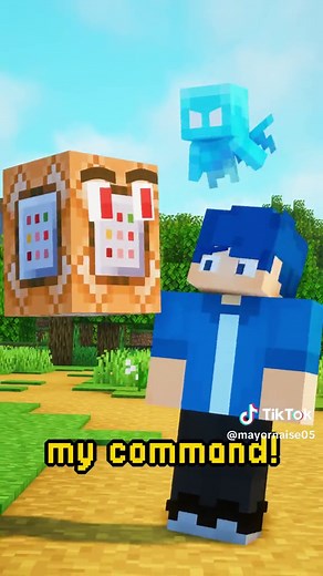 if command blocks could talk #minecraft #animation #blockbuster #mayor05 #minecraftmeme