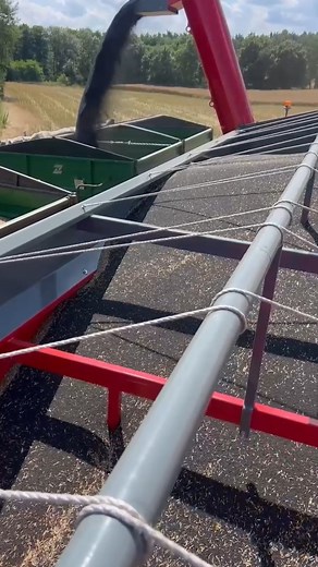 4.6K views · 37 reactions | A compilation of several recent...