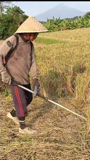 potong jerami padi joss super cepat