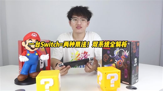 一台Switch=两种用法！双系统全解析