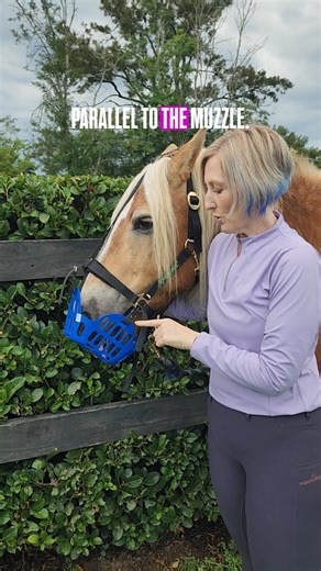 Fitting a Greenguard grazing muzzle: Hints and tips to achieve a comfortable fit. #performaride #greenguardmuzzle #haflinger #equestrianeducation | Performa Ride