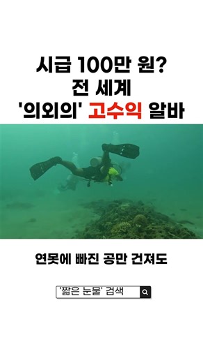 시급 100만원 전세계 의외의 고수익 알바 #알바추천 #꿀알바 #고수익알바