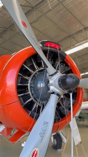 The Big Brother: Judy Pay’s T-28 Trojan flying at the Tyabb Airshow! Standing beside the North American T-28 Trojan, Judy Pay doesn’t hesitate when asked how she feels about this aeroplane. “I just love it,” she says — and it shows. Originally designed in the late 1940s as a basic trainer for the jet age, the T-28 was intended to prepare pilots for aircraft like the Sabre. But once fitted with a much larger engine, it quickly proved to be far more than just a trainer. Often described as the big 