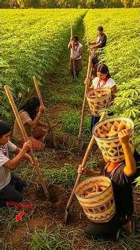 The Origins of Brazil’s First Peoples — A Journey 15,000 Years Into the Past