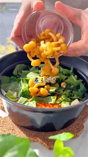 𓊆野菜たっぷり！年越しそば𓊇 年末の野菜不足、これで解消！ たっぷり野菜で栄養満点✨ 調味料と具材をぜーんぶ鍋に 入れて煮るだけだから、 忙しい年末でも失敗なし！ 最後に型抜きニンジンをのせ...