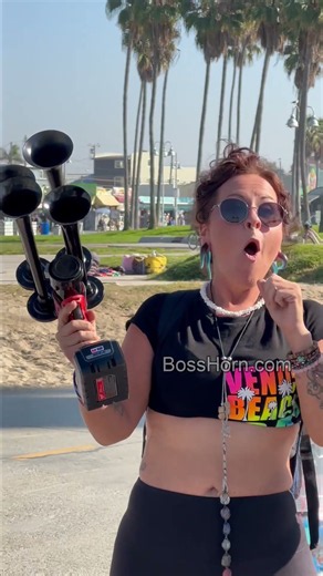 Boss Horn - 150DB Train Horn That Runs on Dewalt® Battery