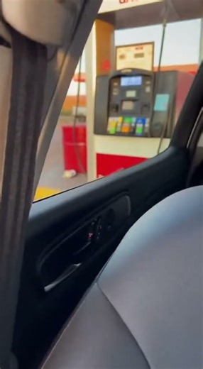 “Road Runner vs Coyote: The Chase That Never Ends! 💨🐺💥”