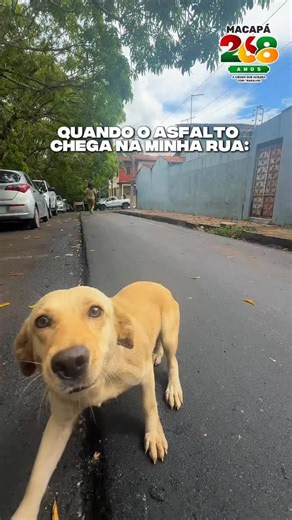 Prefeitura Municipal de Macapá on Instagram: "Domingo de sol e de muita alegria no bairro Boné Azul! Depois de 25 anos de espera, o asfalto finalmente chegou e não foram só os moradores que comemoraram, não... olha a felicidade do nosso mascote com o asfalto novinho! 😂✨ São 9 vias pavimentadas, levando dignidade, fim da poeira e muito mais mobilidade para a região. É trabalho de domingo a domingo para transformar a nossa capital. Macapá 268 anos: uma cidade que acelera com trabalho! 🏁"