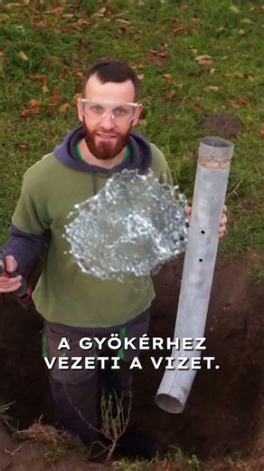 Ha fát ültetsz egy öntözőcső igazi megmentő lehet!