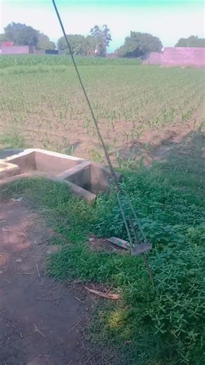 aaja Teri #bollywood tujhe piyar se dekhne wala spdy hlk Gaming v