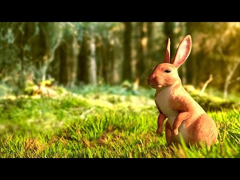 Realistic Rabbit 3d model