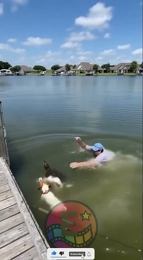 Turtle Attacks Dog — Real Footage! 🐢😱 You Won’t Believe What Happens Next! #shorts