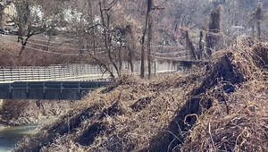 126K views · 575 reactions | We are working to get more information about this police chase involving a flatbed truck in the Phelps and Freeburn area. We'll bring you more details as soon as they are available. Thank you to viewer Tosha Young for allowing us to use her video. | Mountain Top News | Facebook