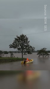 #DTTV: Hundreds of rescues have been carried out in the NSW flood disaster, including some very lucky pets. LIVE AND FREE UPDATES: https://bit.ly/43c0yKa | The Newcastle News