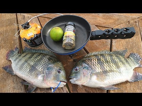 Catch n' Cook BIG, FAT Tilapia!