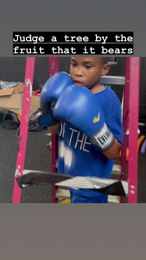 2.1K views · 24 reactions | "Judge a tree by the fruit that it bears" A coach who's been around for decades, watches film, takes you on the mitts but can't develop a fighter is iust as useless as someone who's never stepped foot in a gym. Judge these coaches by the fighters they develop. | Gideon Boxing Gym | Facebook