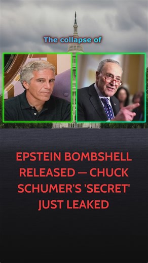 WATCH THE VAULT: The unredacted archives linking the Disaster Relief Bill to Epstein’s server logs #TheVault #Archives #Secrets | Neon Serenity