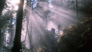 Great Smoky Mountains National Park announces spring opening schedule