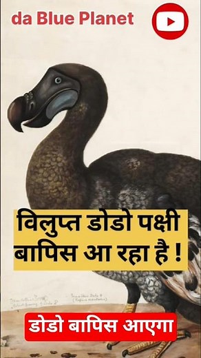 Dodo Back from Extinction ! #biotechmiracle #geneticengineering #viralvideo #trendingshorts