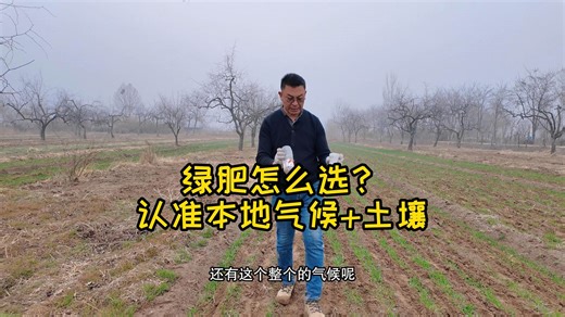 绿肥怎么选？认准本地气候 土壤