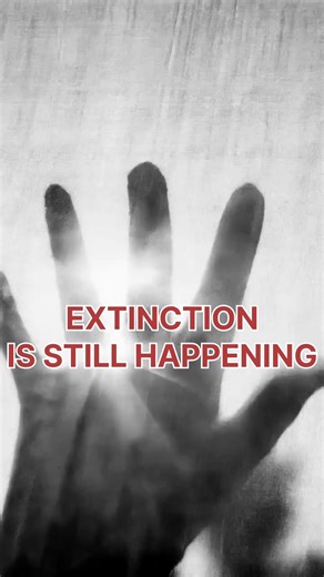 They Survived Everything… Except Humans #music #extinction