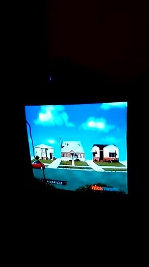 The Bird Brains Introduction /Patchy gets blowen out of the house