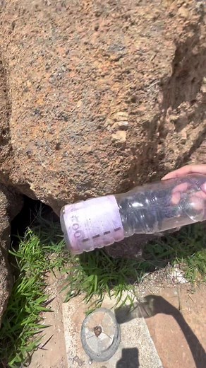 ซ่อนเงิน 500บาท ใครหาเจอเอาไปเลย #เด็กชายเพชร #สงขลา #หัวนายแรง #วัดเก้าแสน