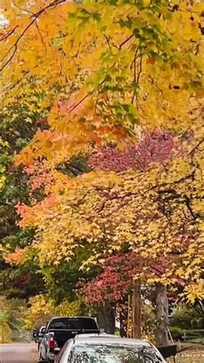 Beautiful Fall in Marietta, Ohio