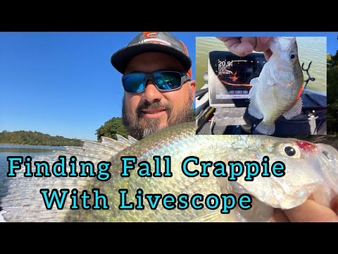 FALL CRAPPIE FISHING WITH LIVESCOPE