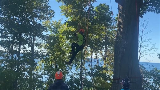 15K views · 68 reactions | What's that in the sky? It's a Certified Arborist! Drop by Lake Ontario Park today and tomorrow, Sept. 20, to watch the Ontario Tree Climbing Championships! Check out demonstrations, watch climbers do their thing and even try it out for yourself! Deets: https://www.isaontario.com/otcc/ | City of Kingston - Municipal Government | Facebook