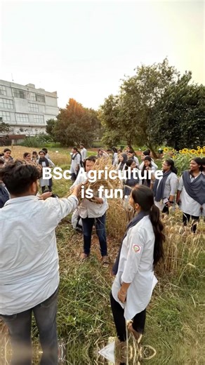 BSc Agriculture | BSc Agriculture Course Details | BSc Agriculture Jobs