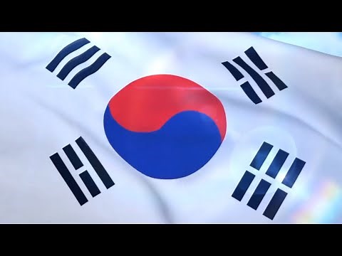 [데이바이데이] 의전용 태극기 펄럭이는 영상과 애국가 MR