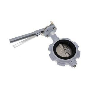 [Hot Item] ANSI Class 150 4 Inch Lug Type Ductile Iron Butterfly Valve