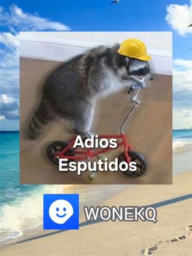 Stickers para WhatsApp: Memes y Más