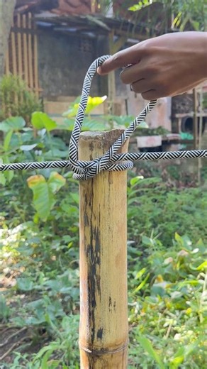One Constrictor Knot, Many Uses!
