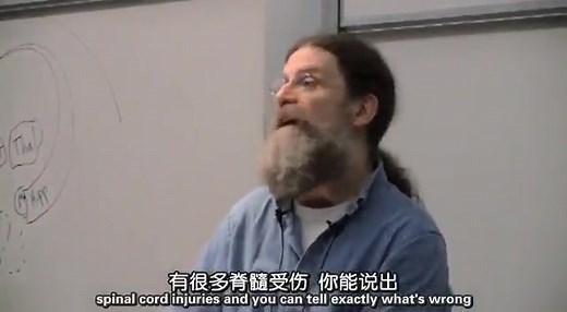 【公开课】斯坦福大学: 从生物学看人类行为