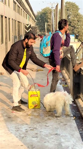 Hilarious Dog Exchange Prank You Must Watch