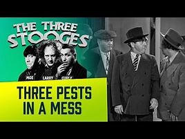 The THREE STOOGES - Ep. 83 - Three Pests In A Mess - Classic Comedy-2