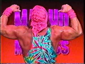 Macho Man Randy Savage Promo on Ultimate Warrior (02-19-1989)