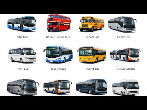 Every type of Bus explained in just 7 minutes 