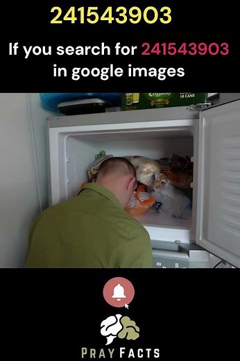 🧊❓ 241543903: The Curious Internet Meme of Heads in Freezers! 🤯🧠 #amazing #amazingfacts #viral #fact