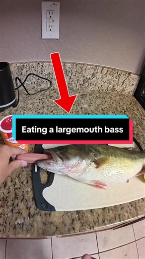 Eating a largemouth bass! #fishing #fishingvideos | fishing