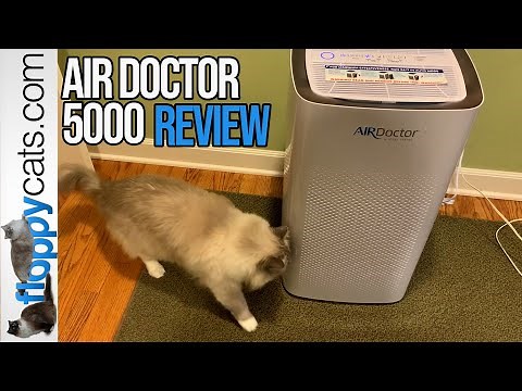 AirDoctor 5000: Review - The Best Air Pollution Alarm You'll Ever Use