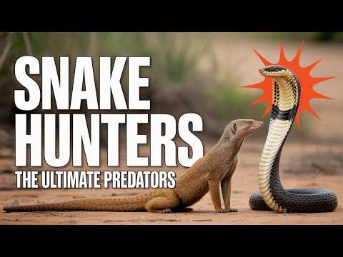The Animals That Hunt and Eat Snakes