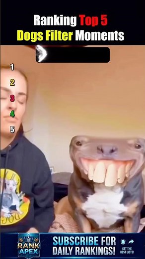 Ranking Top 5 Dog Filter Moments (Rank 1 is INSANE!) 💀 #shorts #ranking #dogfilter