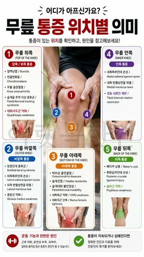 무릎 통증 위치별 원인 총정리｜앞·뒤·안쪽·바깥쪽 어디가 아프신가요?