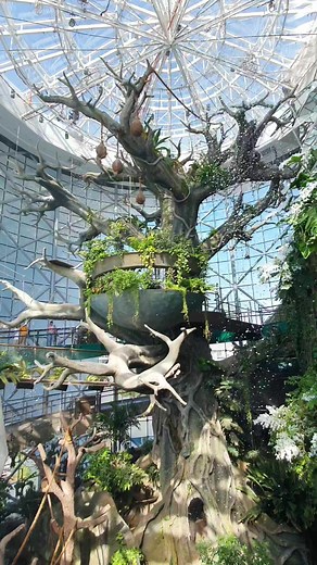 Snow Fall #snowday #snowflakes #snowfall #snow #dubai | Badminton PLAYS | Facebook