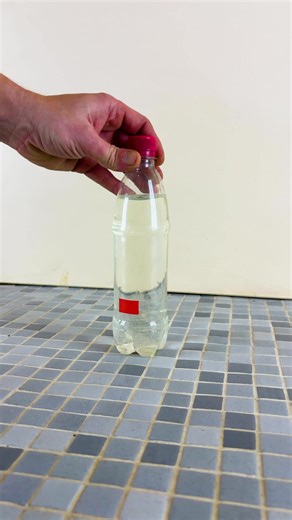 Turn Any Bottle into a Self Watering Planter | DeMilked