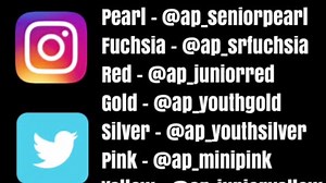 ALL of our TEAMS now have their own Instagram and Twitter accounts!  Follow each of our teams on both social media platforms to watch their progess, teamwork, and commitment over the season!  PINK: @ap_minipink SILVER:@ap_youthsilver GOLD: @ap_youthgold RED: @ap_juniorred FUCHSIA: @ap_srfuchsia PEARL: @ap_seniorpearl YELLOW: @ap_junioryellow | Athletic Perfection | Facebook